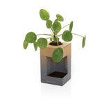 Avira Alya RCS gerecycled roestvrijstalen beker 300ML