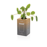Avira Alya RCS gerecycled roestvrijstalen beker 300ML