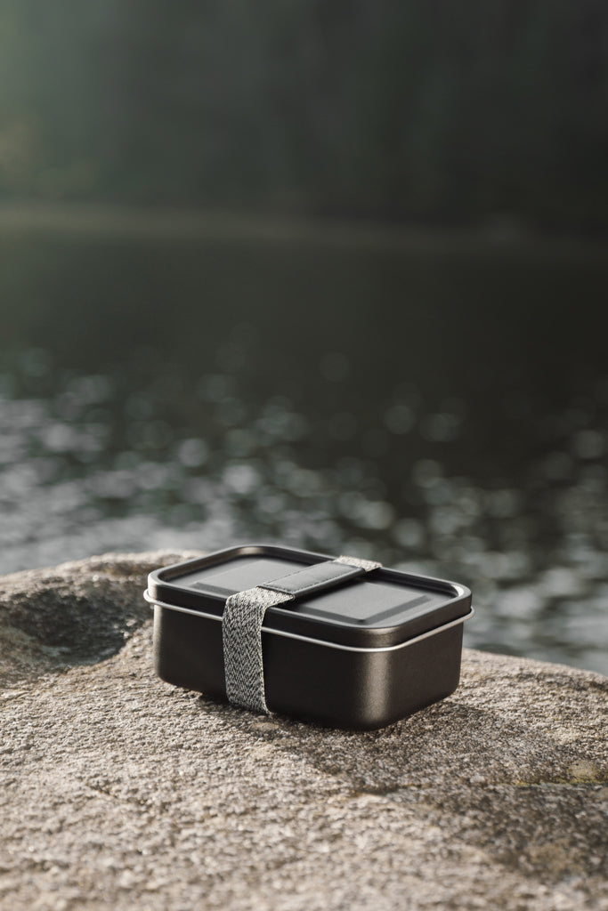 VINGA Parks RCS SS-lunchbox
