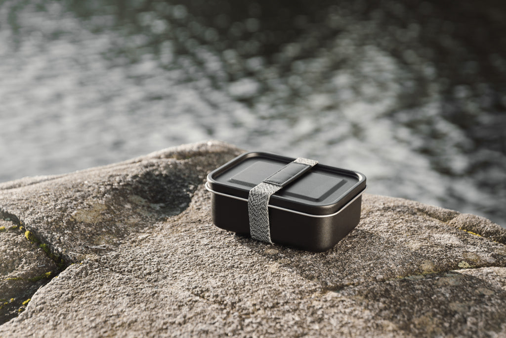 VINGA Parks RCS SS-lunchbox